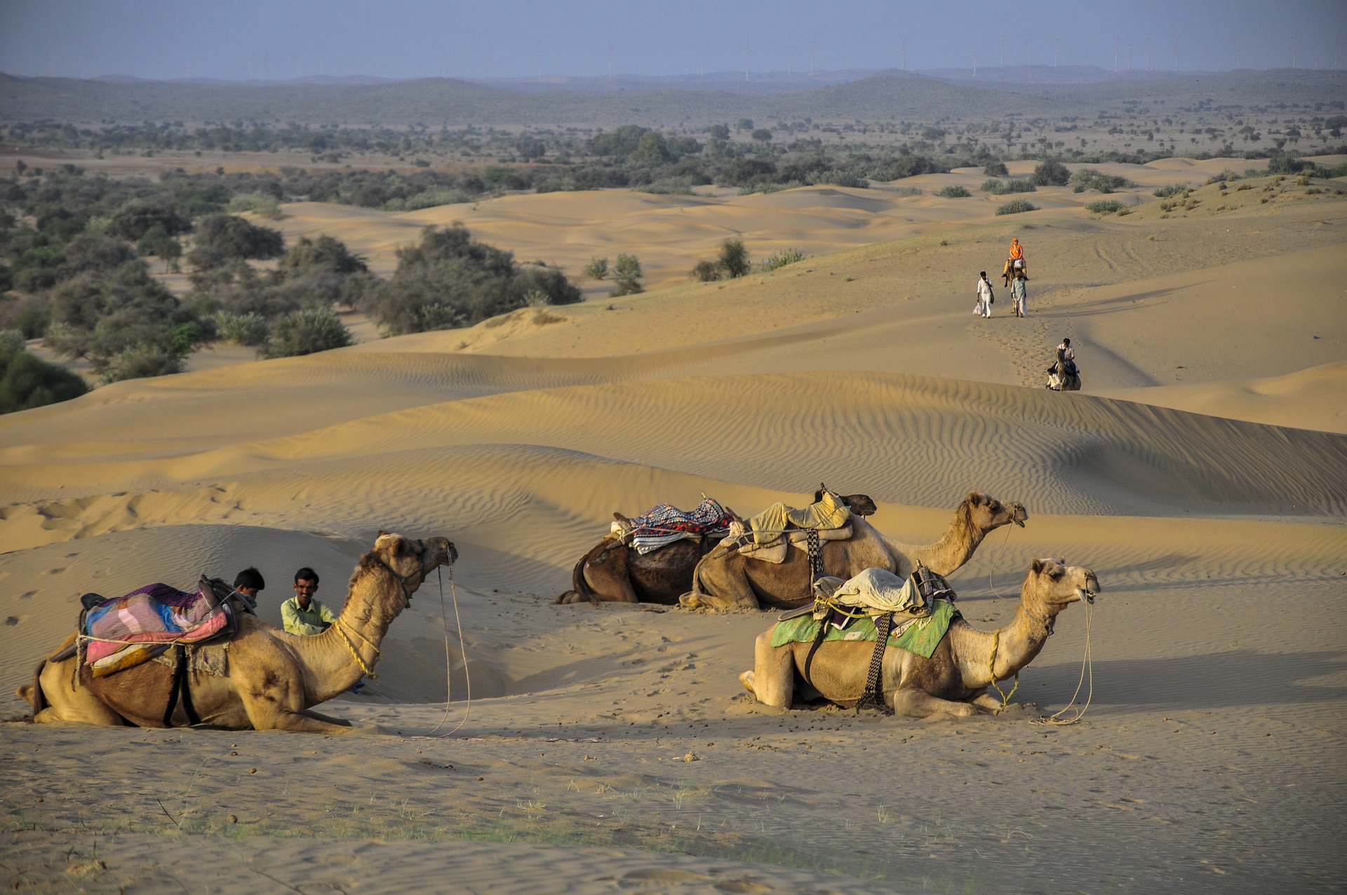 Pourquoi les passionnés d’aventure et de découvertes aiment-ils voyager en Inde ?