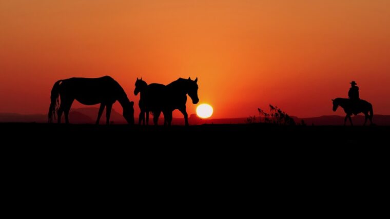 chevaux au far-west sur couché de soleil