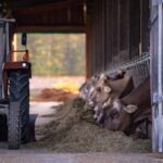 Les équipements nécessaires pour les animaux de la ferme