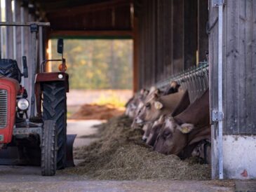 Les équipements nécessaires pour les animaux de la ferme