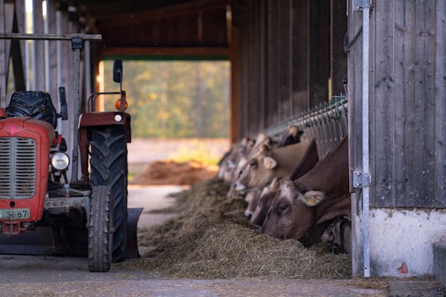 Les équipements nécessaires pour les animaux de la ferme