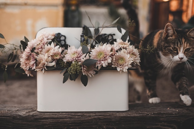 urne de mariage