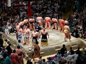 Le Sumo