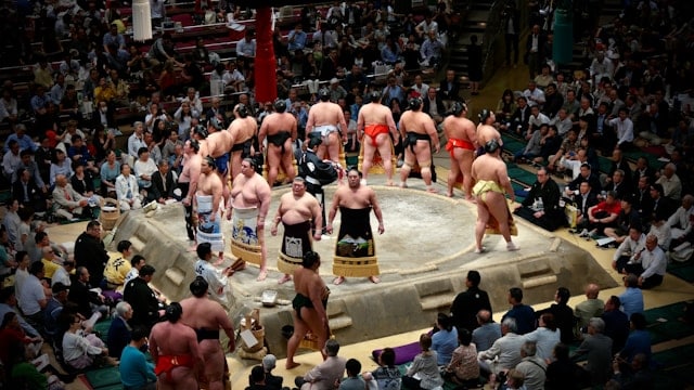 Le Sumo