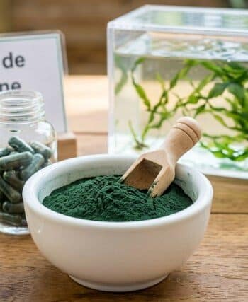producteur spiruline