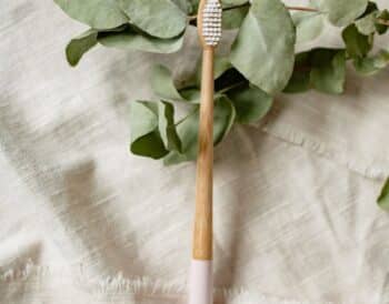 brosse à dent