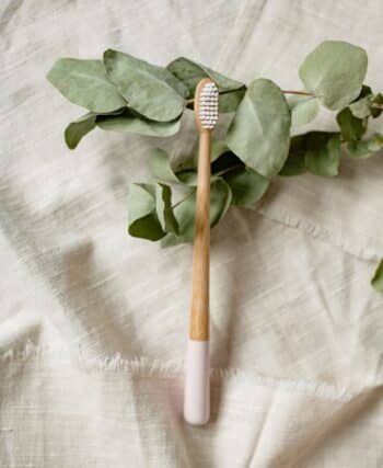 brosse à dent
