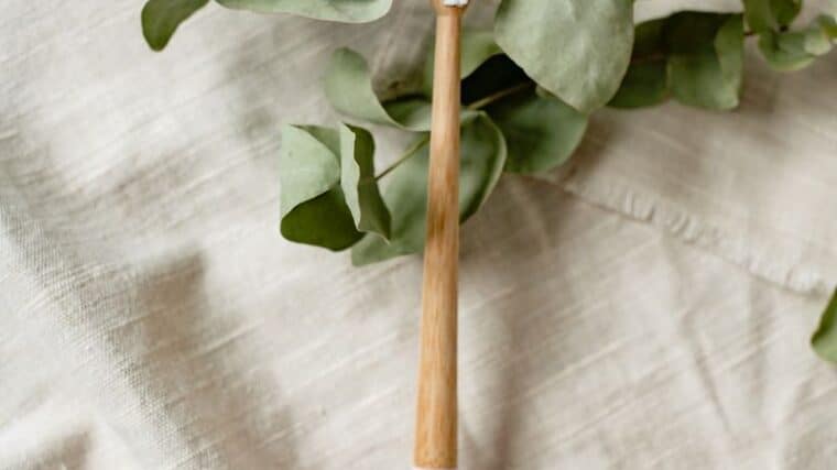 brosse à dent