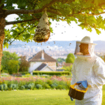 Destruction d'un nid de frelon asiatique dans un jardin de la région lyonnaise en 2026