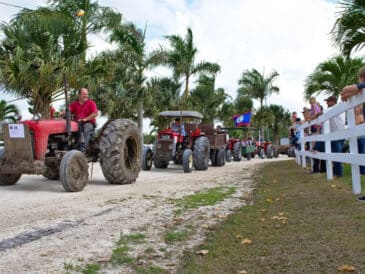 fête agricole