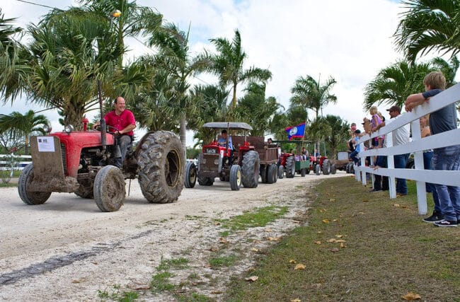 fête agricole