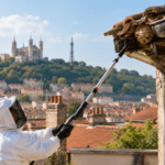 Destruction d'un nid de guêpes sous une toiture à Lyon en 2027